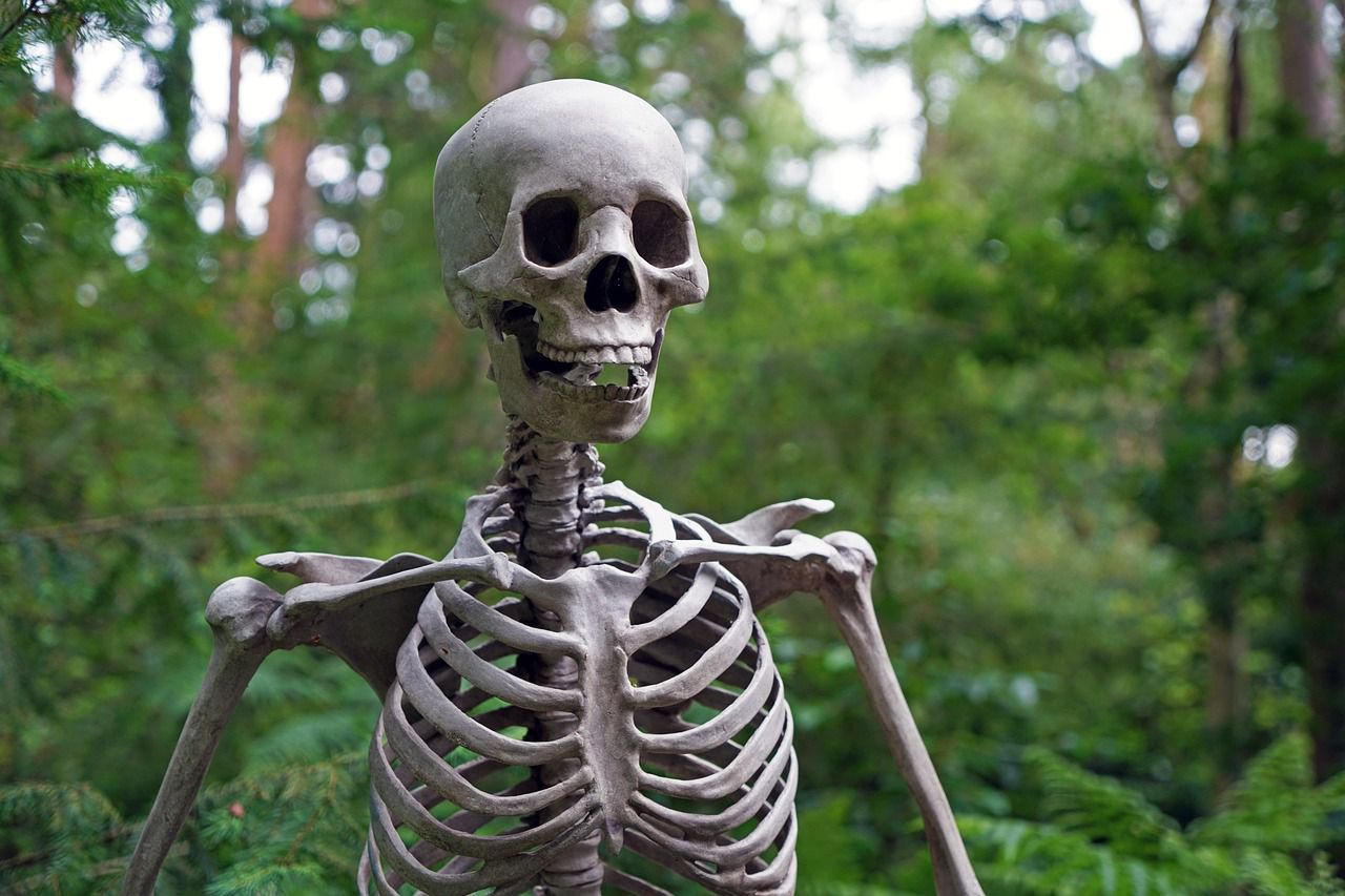 skeleton 1522620 1280 min